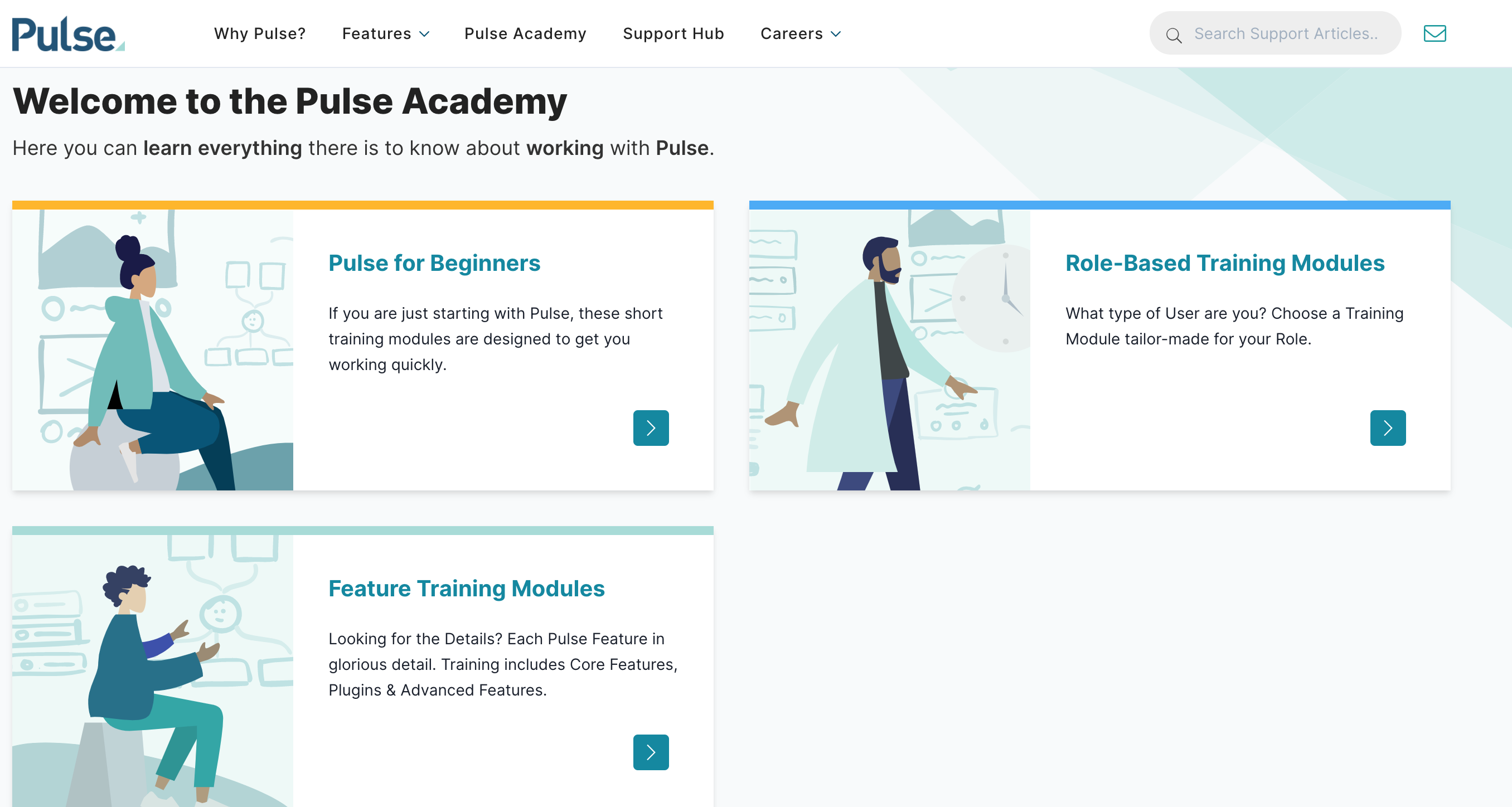 Pulse Academy e-Learning